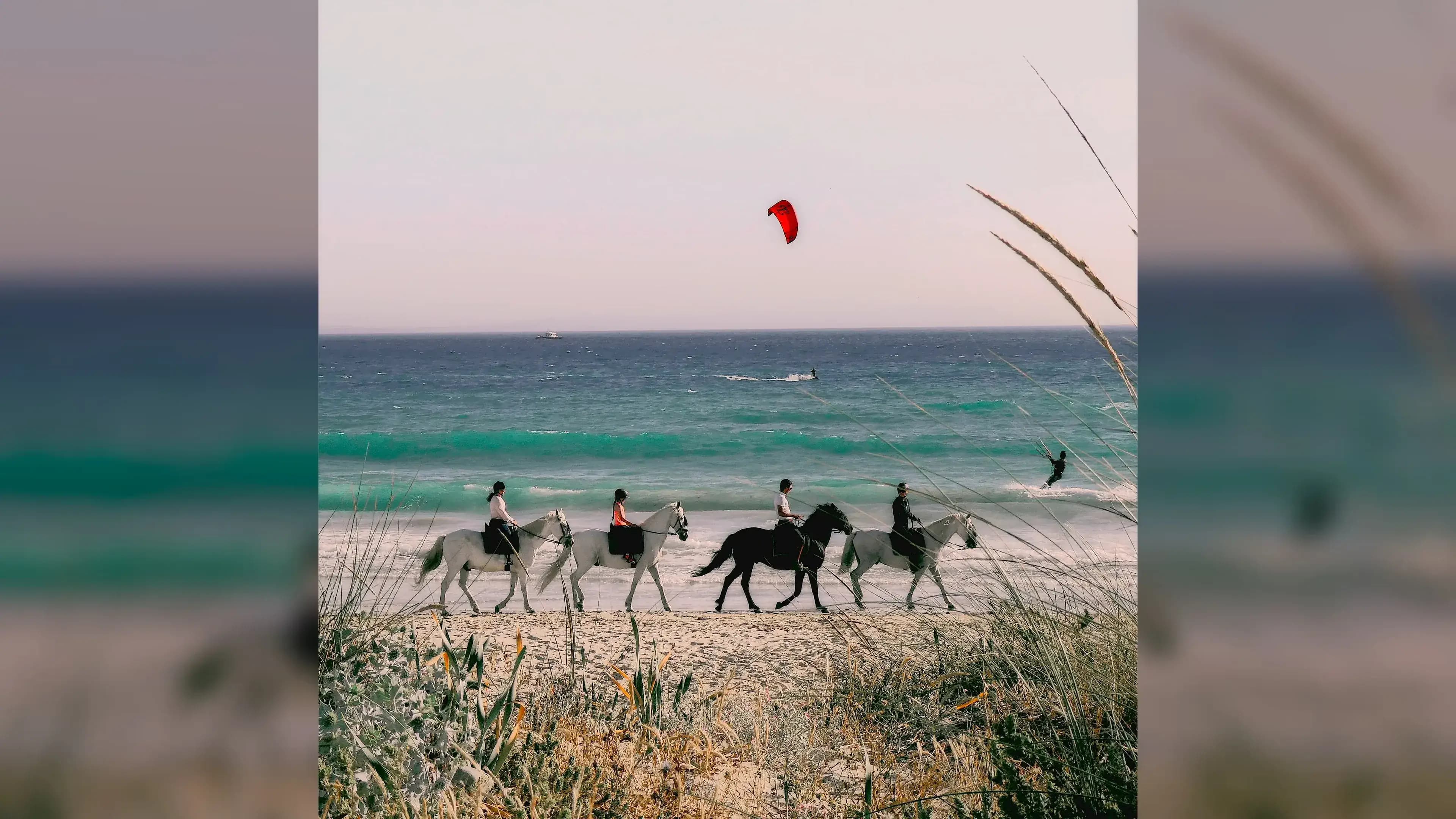 Casal cavalgando próximo ao mar